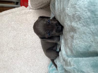 BLVE2021062510 Black Mountains Racing