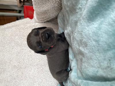 Ida Black Mountains Racing