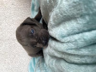 Ilfi Black Mountains Racing