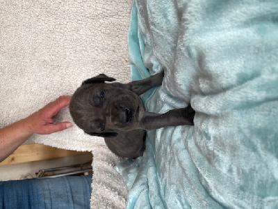 Ilse Black Mountains Racing