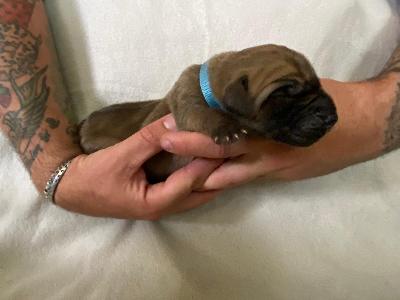 A1xxxxxxxxxxx vom Hause der Herzbuben