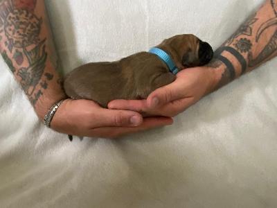 A1xxxxxxxxxxx vom Hause der Herzbuben