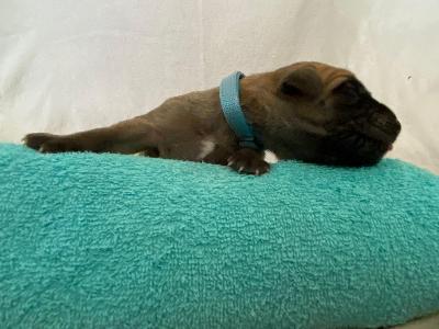 A1xxxxxxxxxxx vom Hause der Herzbuben