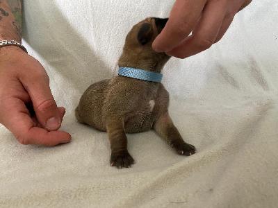 A1xxxxxxxxxxx vom Hause der Herzbuben