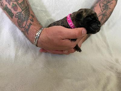 Arizona�s Nami vom Hause der Herzbuben