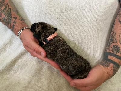 Albuquerque vom Hause der Herzbuben