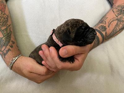 Albuquerque vom Hause der Herzbuben