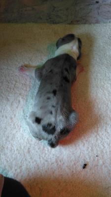 Heiko Von Siedlinghausen