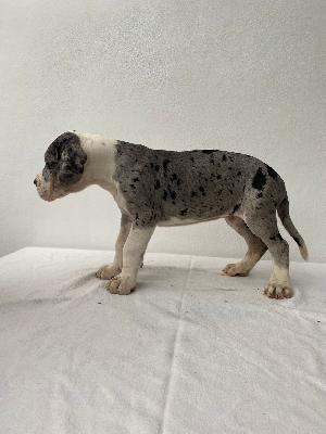 Heiko Von Siedlinghausen