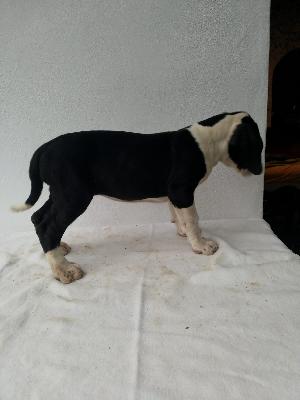 Hildegard Von Siedlinghausen