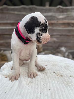 Antje von der Kroepelwarthe