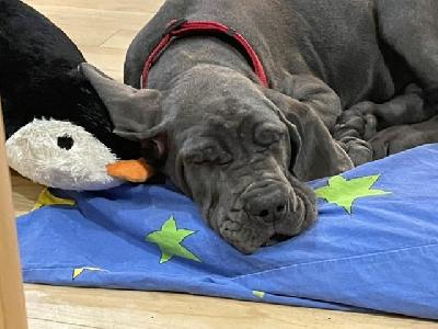 Zora VON DER WOLFSHÖHLE