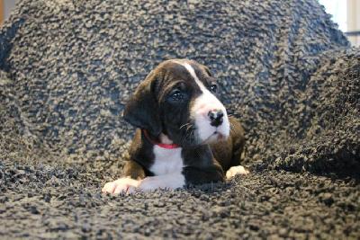 Ajana VON ANDORF AM MÜHLENWEG