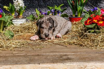 BÄRBEL von der Edelruh