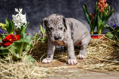 Betty von der Edelruh