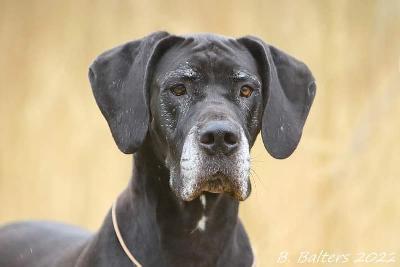Annie zur Siemauer Sonnenuhr