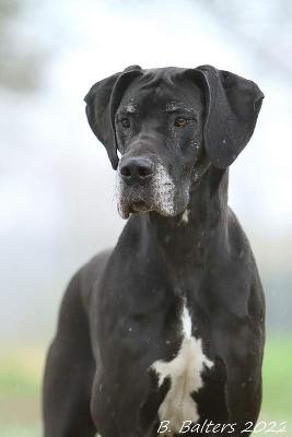 Annie zur Siemauer Sonnenuhr