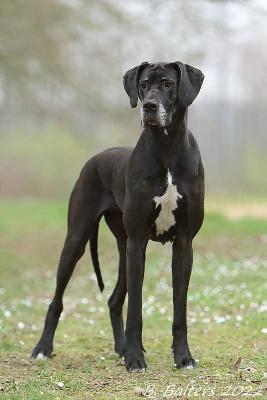 Annie zur Siemauer Sonnenuhr