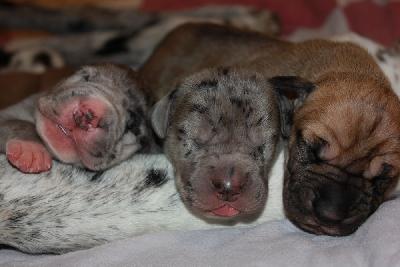 JEPH2022041805 vom Hause Rawert