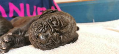 MEGR2022051502 Vom Hause Wagner