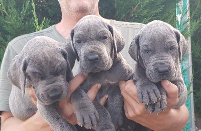 MEGR2022051503 Vom Hause Wagner