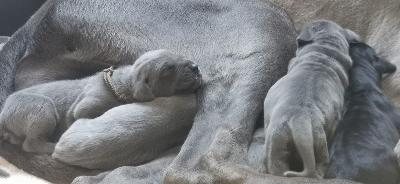 MEGR2022051504 Vom Hause Wagner