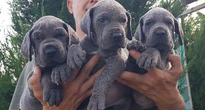 MEGR2022051504 Vom Hause Wagner