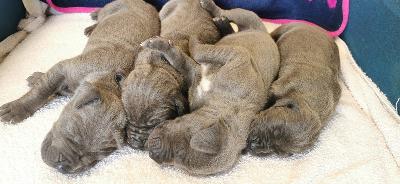 MEGR2022051505 Vom Hause Wagner