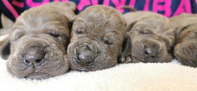 MEGR2022051506 Vom Hause Wagner