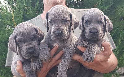 MEGR2022051506 Vom Hause Wagner