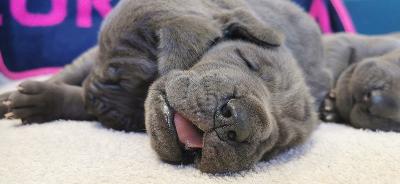 MEGR2022051508 Vom Hause Wagner