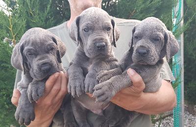 MEGR2022051508 Vom Hause Wagner