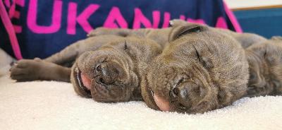 MEGR2022051510 Vom Hause Wagner