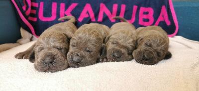 MEGR2022051511 Vom Hause Wagner