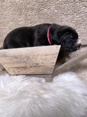 Deutschland sucht die Dicke Wilma vom Hause der Herzbuben