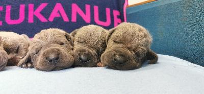 JEBA2022053002 Vom Hause Wagner