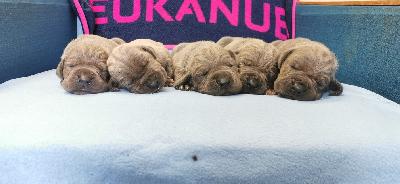 JEBA2022053003 Vom Hause Wagner