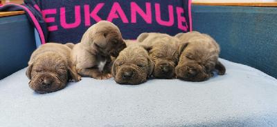 JEBA2022053005 Vom Hause Wagner