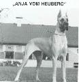Anja Von Heuberg