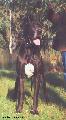 Raff-n Indios Dell �armida