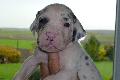 Kliff von der Ofneth�hle