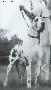 Jethro Tull Von Der Burg Diana