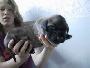 Earl Bocca D�tigre