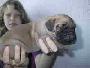 Elena Bocca D�tigre
