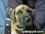 Eric Vom W�chterberg