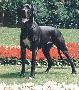 Bea Von Der Schlehhecke