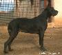 Concita-n Dell� Alto Reno