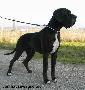 Verdi Von Der Ofneth�hle