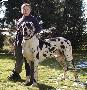 Floyd Vom Schlo� F�rstenberg