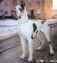 Almav�ry Gerry